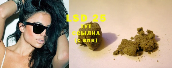 индика Нефтекумск