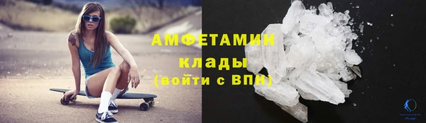 индика Нефтекумск