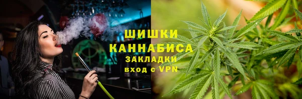 тгк Нея