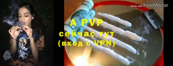 индика Нефтекумск