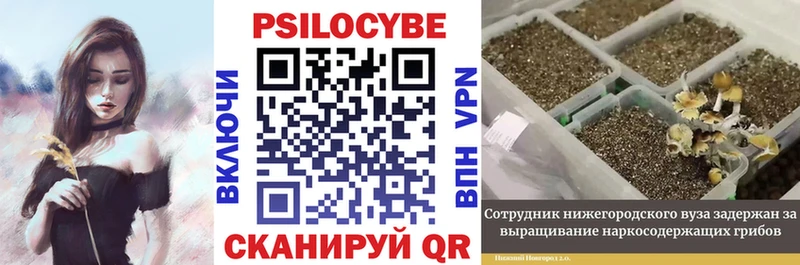 Галлюциногенные грибы мухоморы  blacksprut зеркало  Сыктывкар 