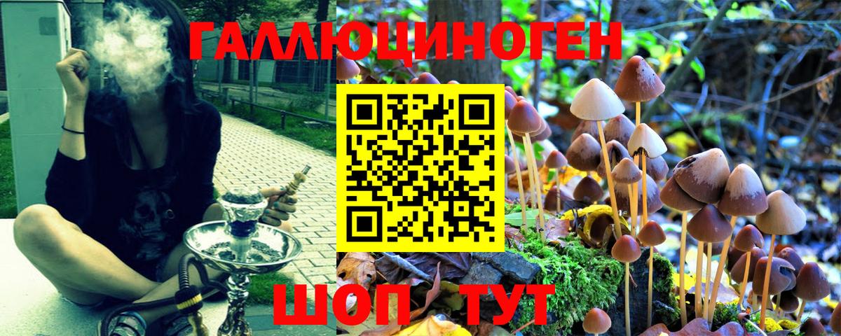 Псилоцибиновые грибы MAGIC MUSHROOMS Сыктывкар