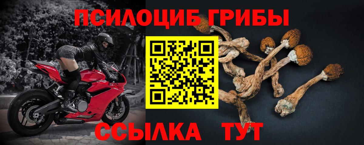 Сыктывкар  Галлюциногенные грибы прущие грибы  Вход с VPN  Псилоцибиновые грибы Cubensis 