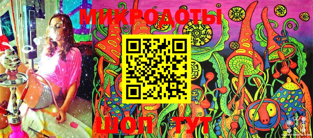 Галлюциногенные грибы Psilocybine cubensis Сыктывкар